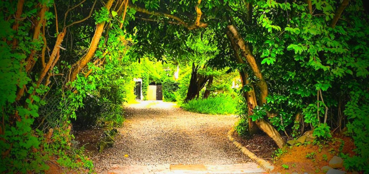 Jordanstown Charming Victorian Coach Houseヴィラ エクステリア 写真